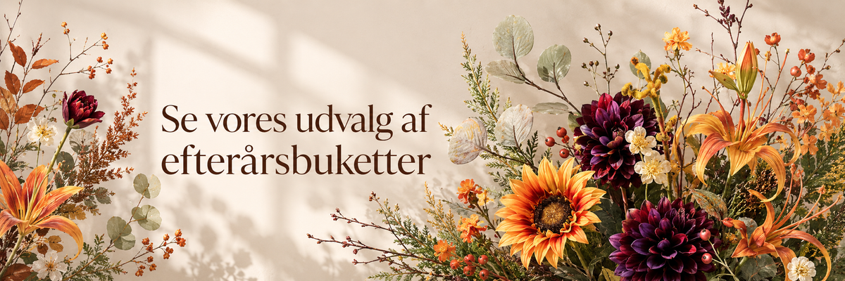 slider image slider_item_NLfFpY