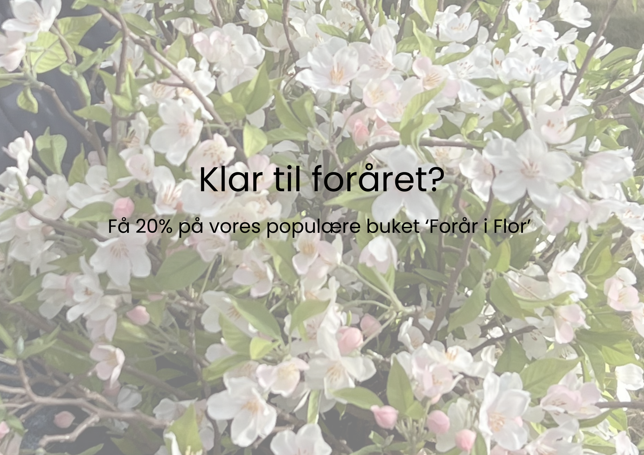 slider image slider_item_NLfFpY