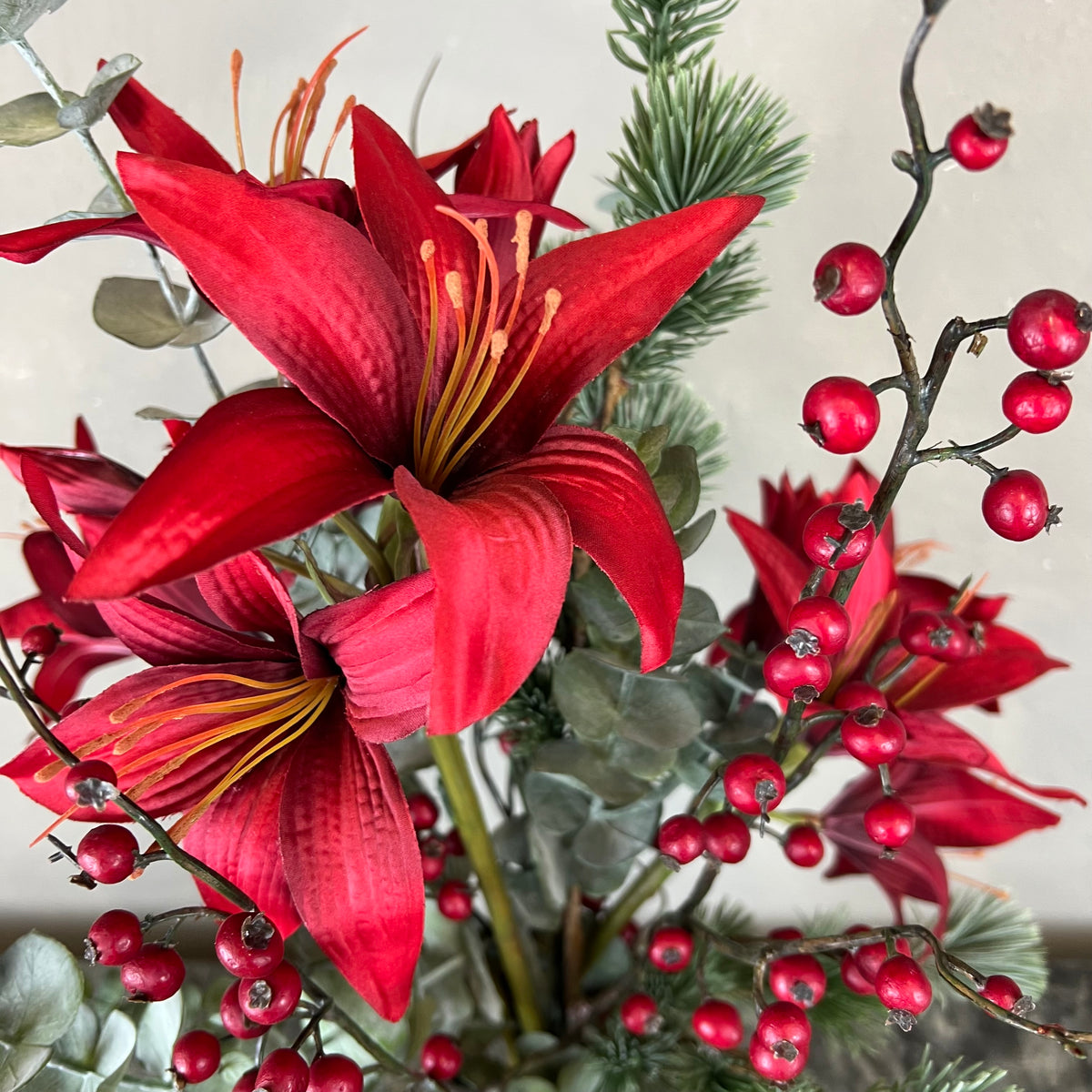Rustik Amaryllis