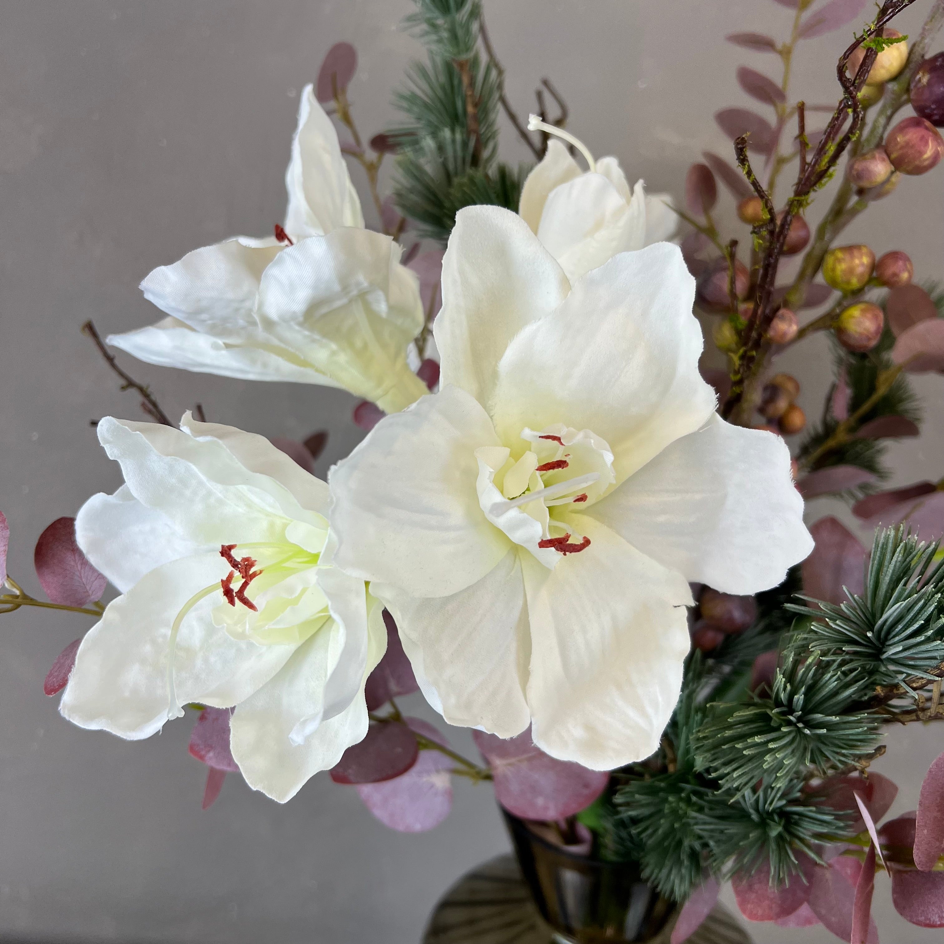 Rå Hvid Amaryllis