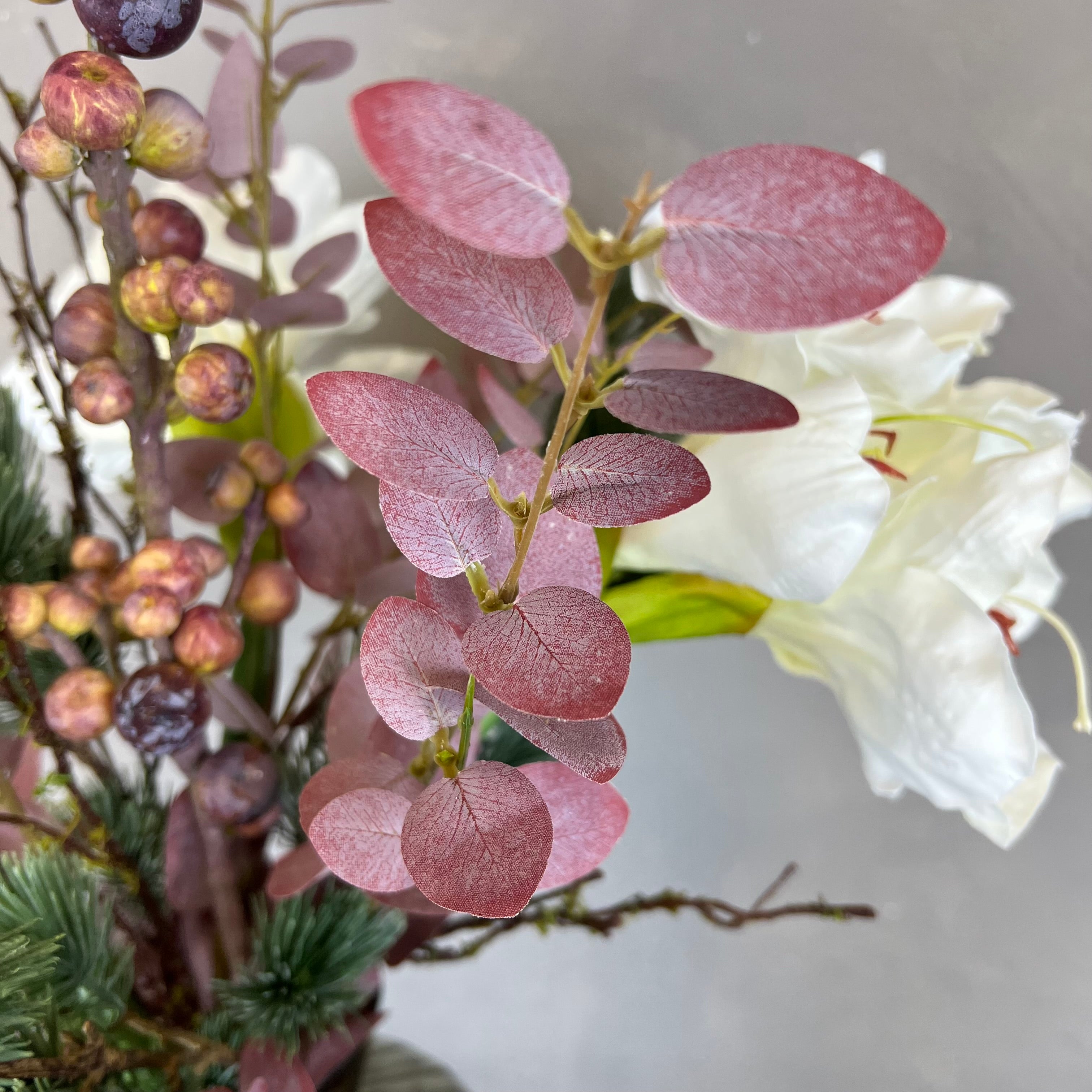 Rå Hvid Amaryllis