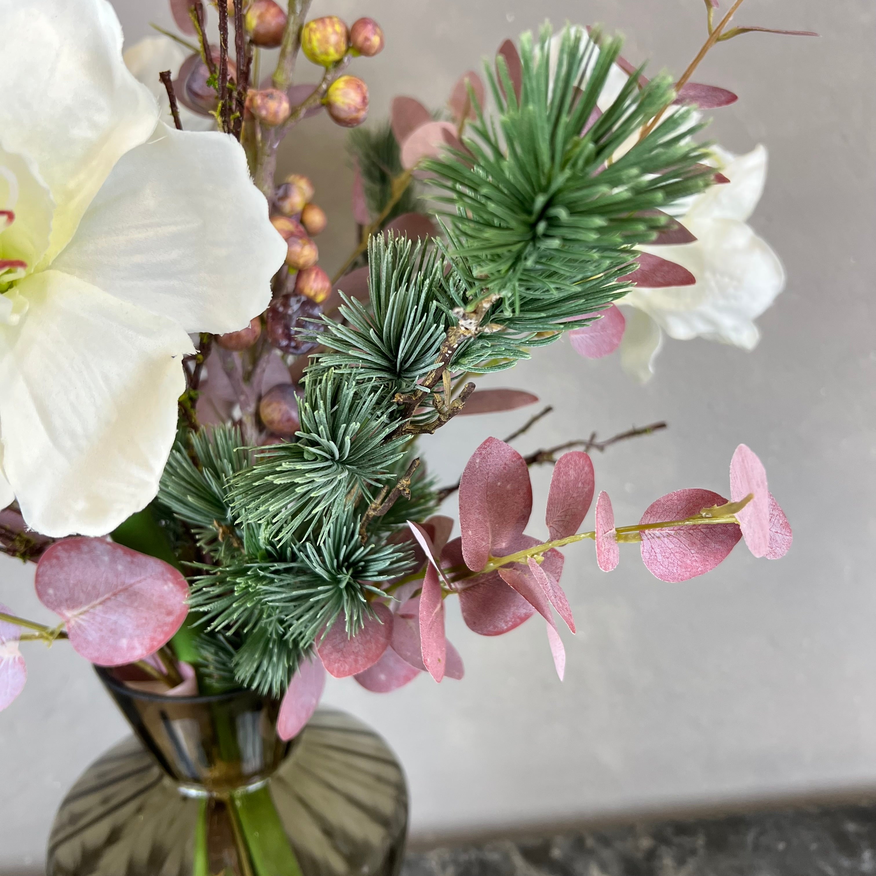 Rå Hvid Amaryllis