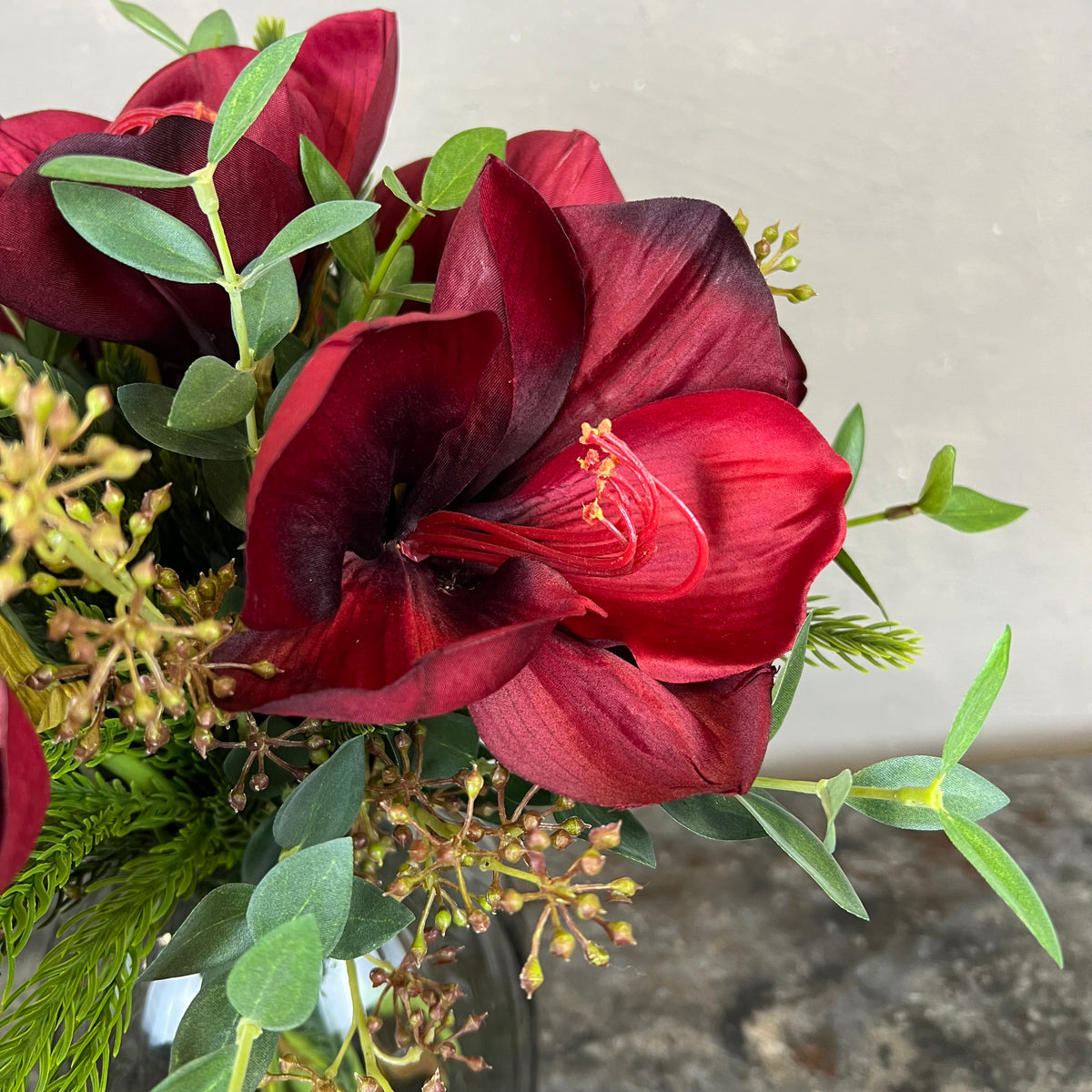 Ren Amaryllis