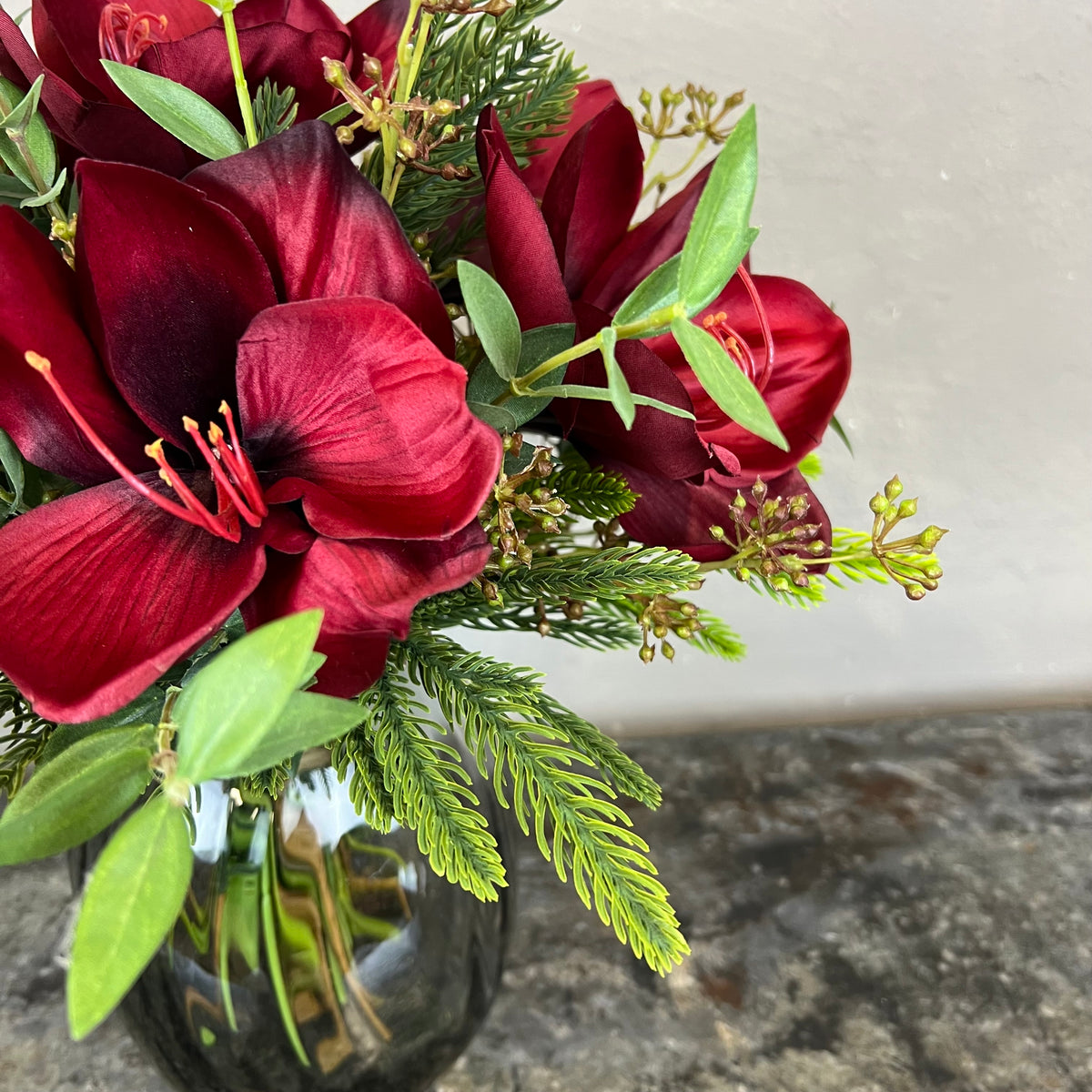 Ren Amaryllis