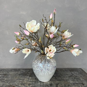 Nøgne Magnolia - Sart Rosa