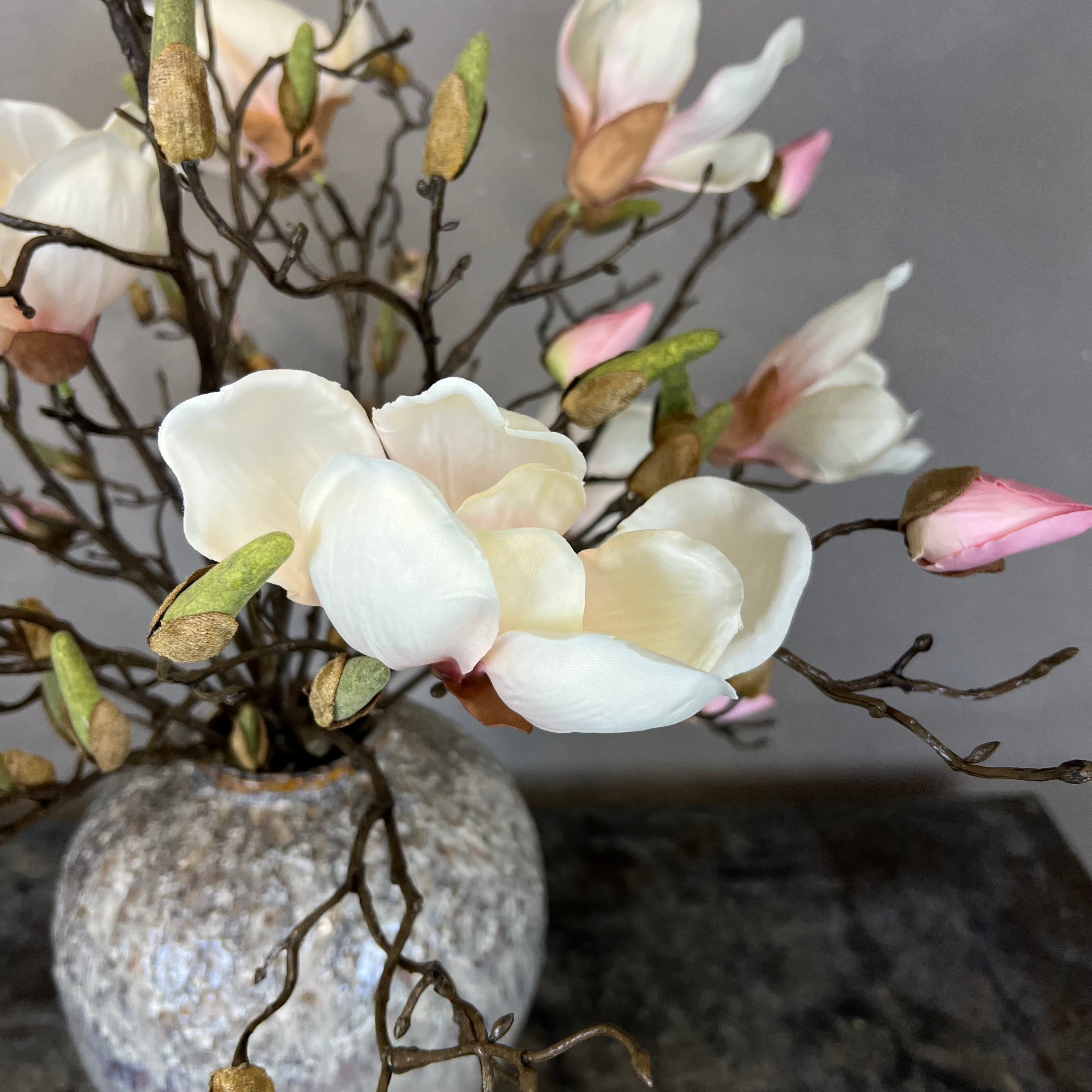 Nøgne Magnolia - Sart Rosa