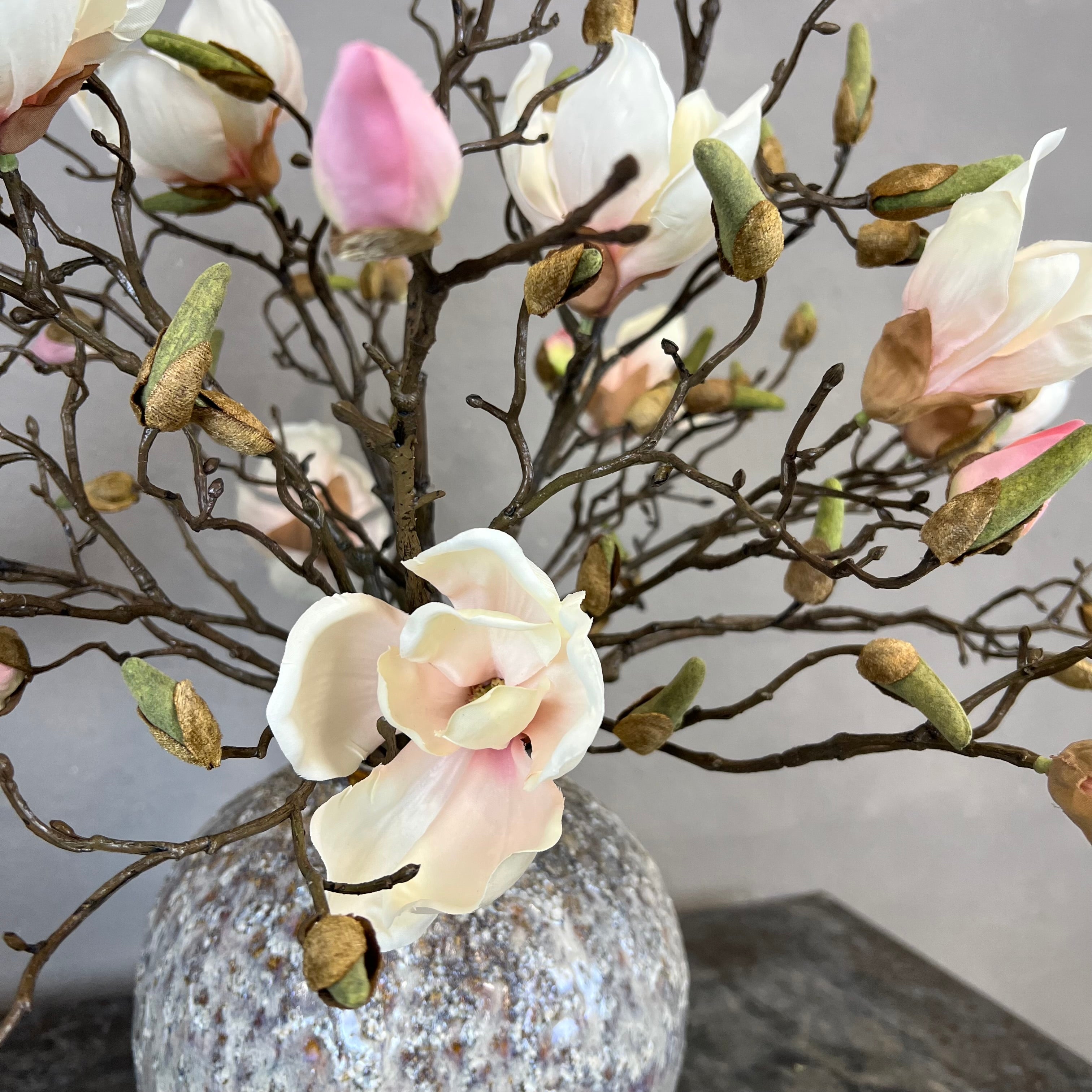 Nøgne Magnolia - Sart Rosa