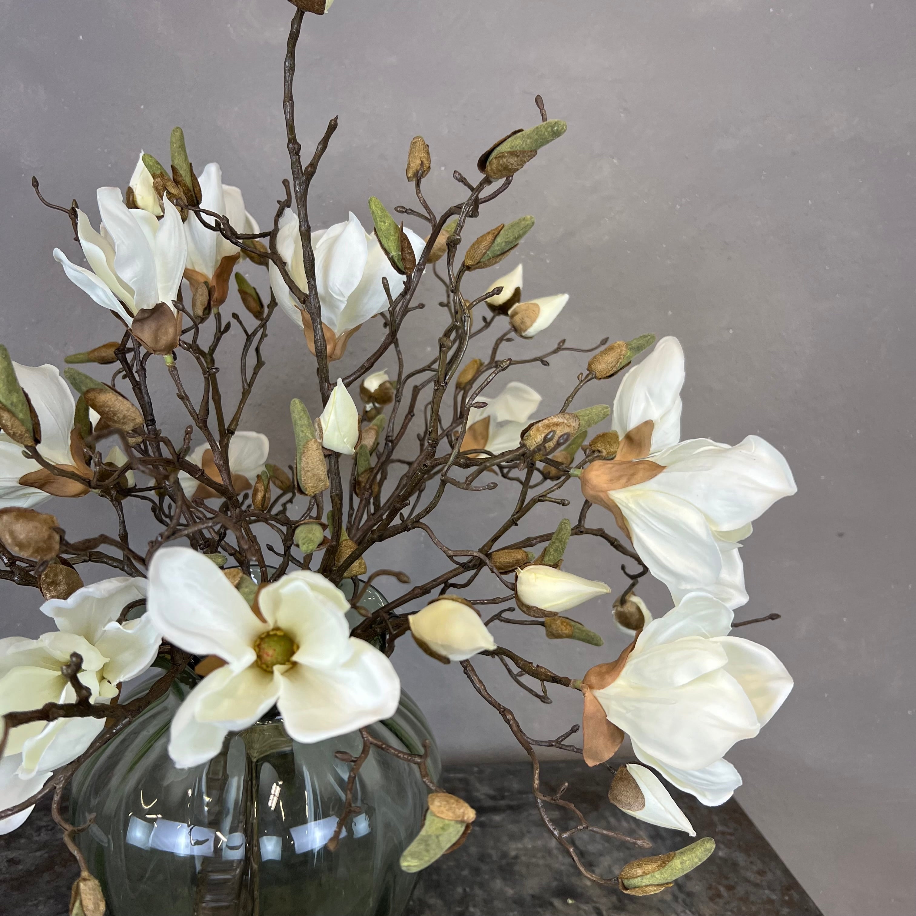 Nøgne Magnolia - Hvid