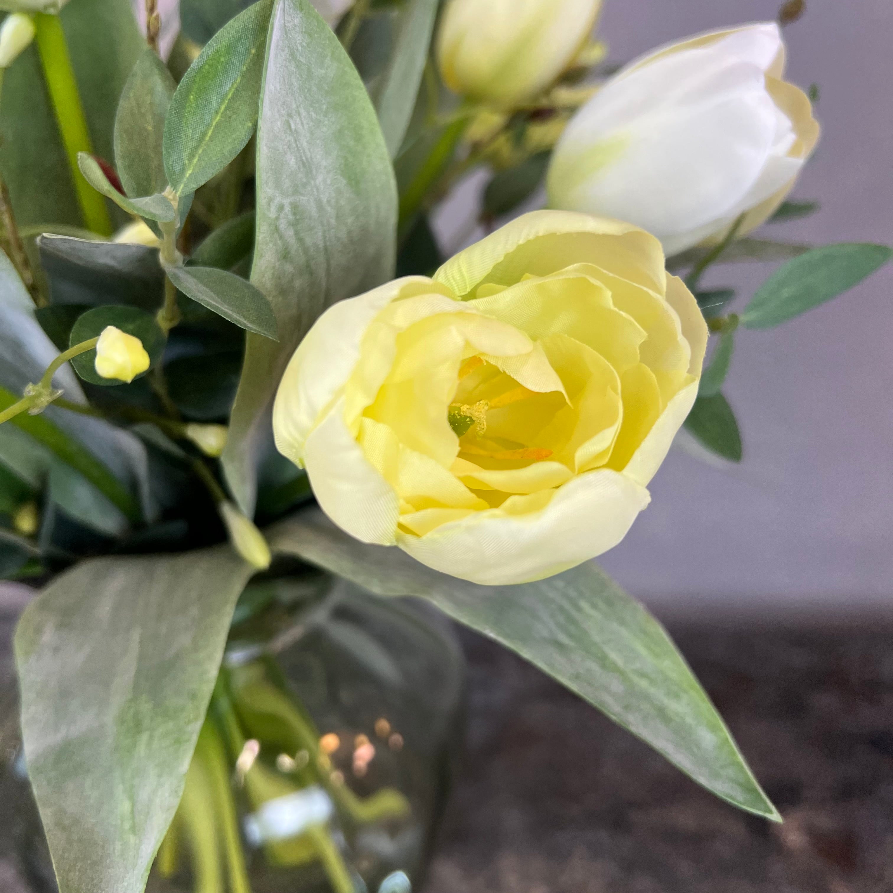 Elegante Hvide Tulipaner