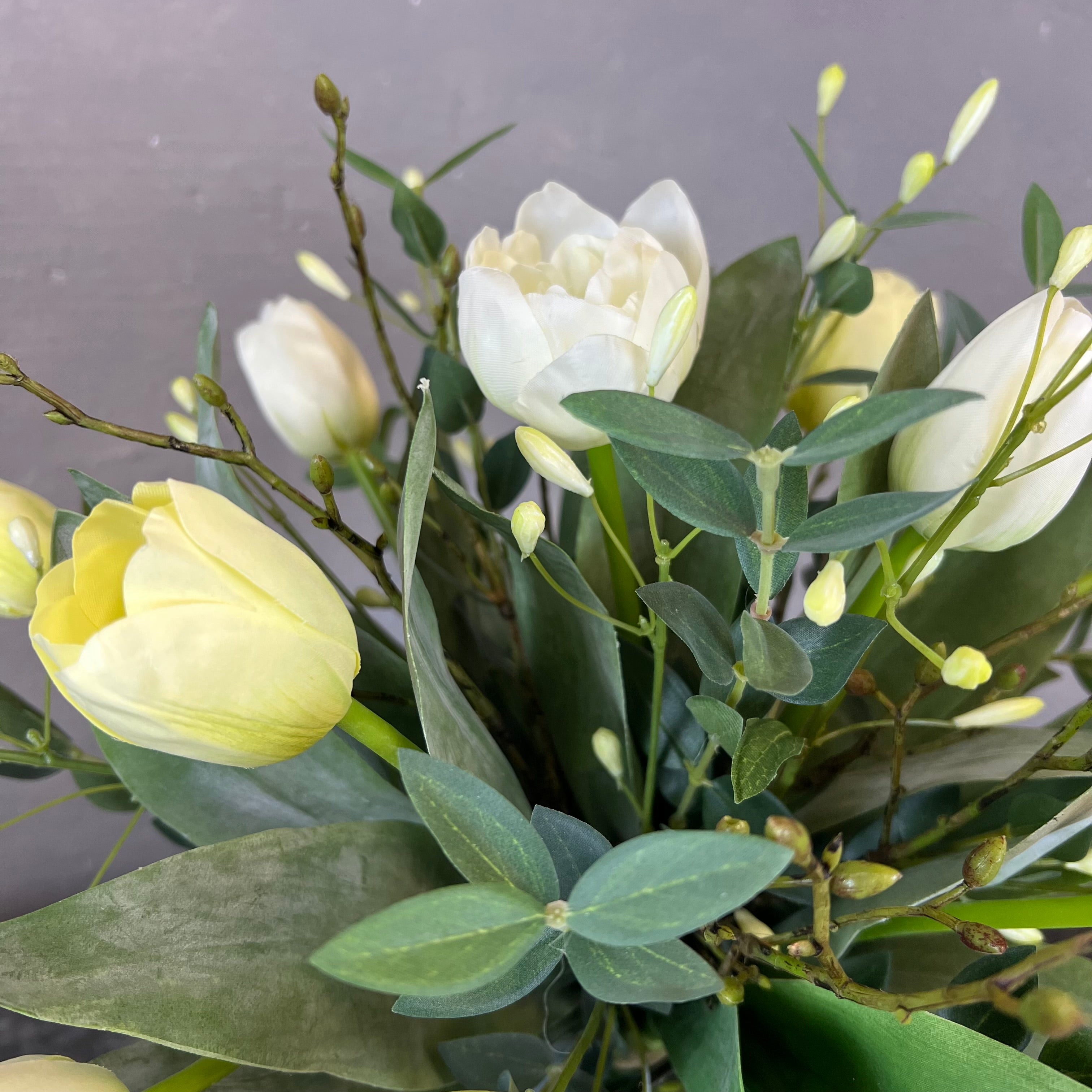 Elegante Hvide Tulipaner
