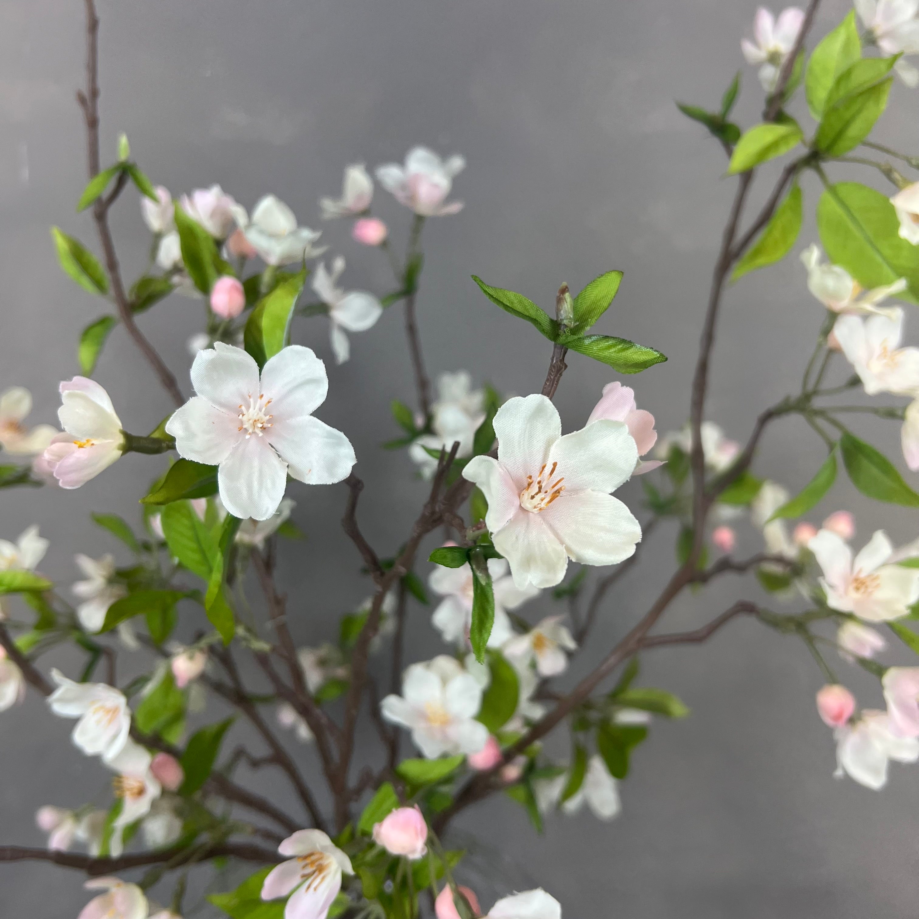 Forår i Flor - Rosa
