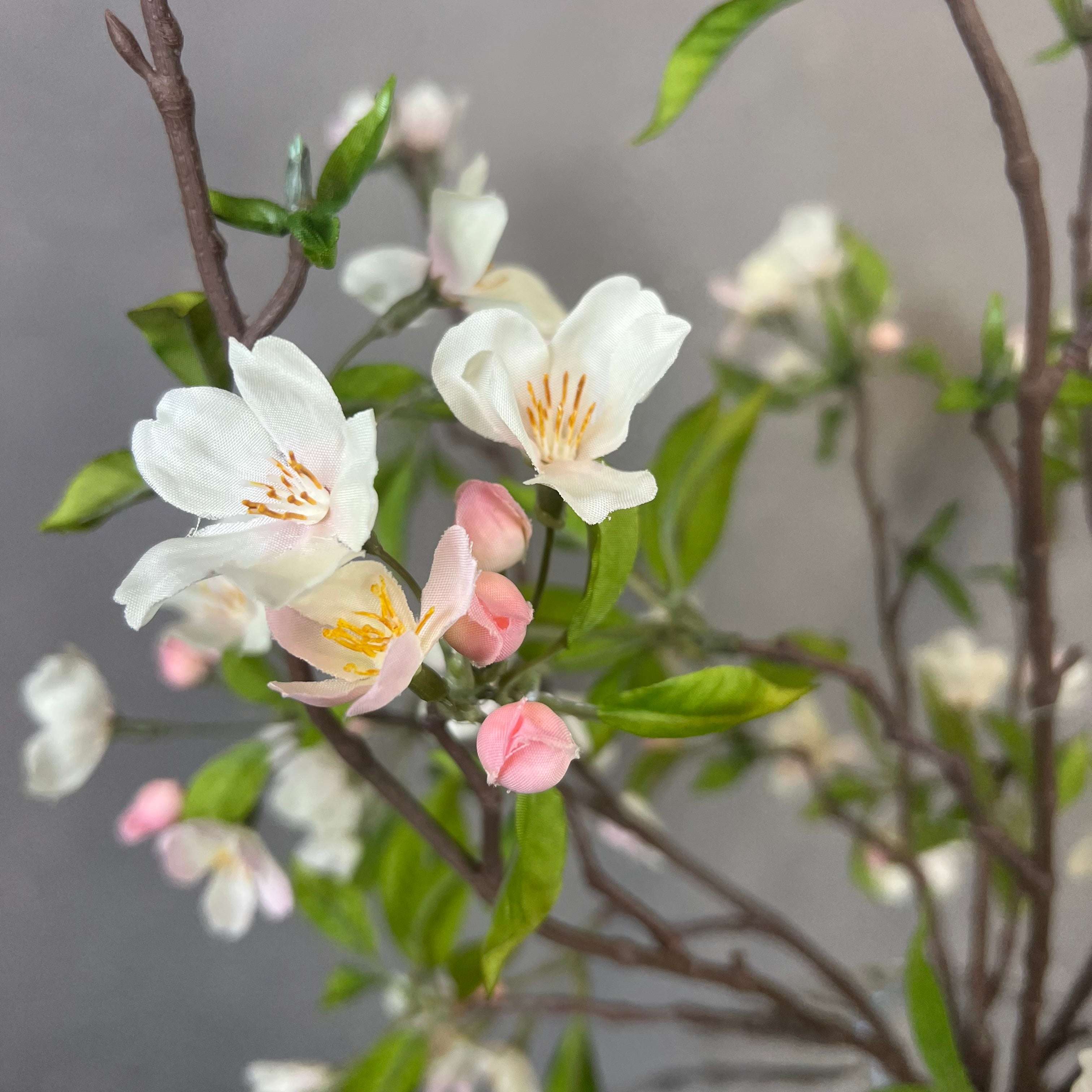 Forår i Flor - Rosa