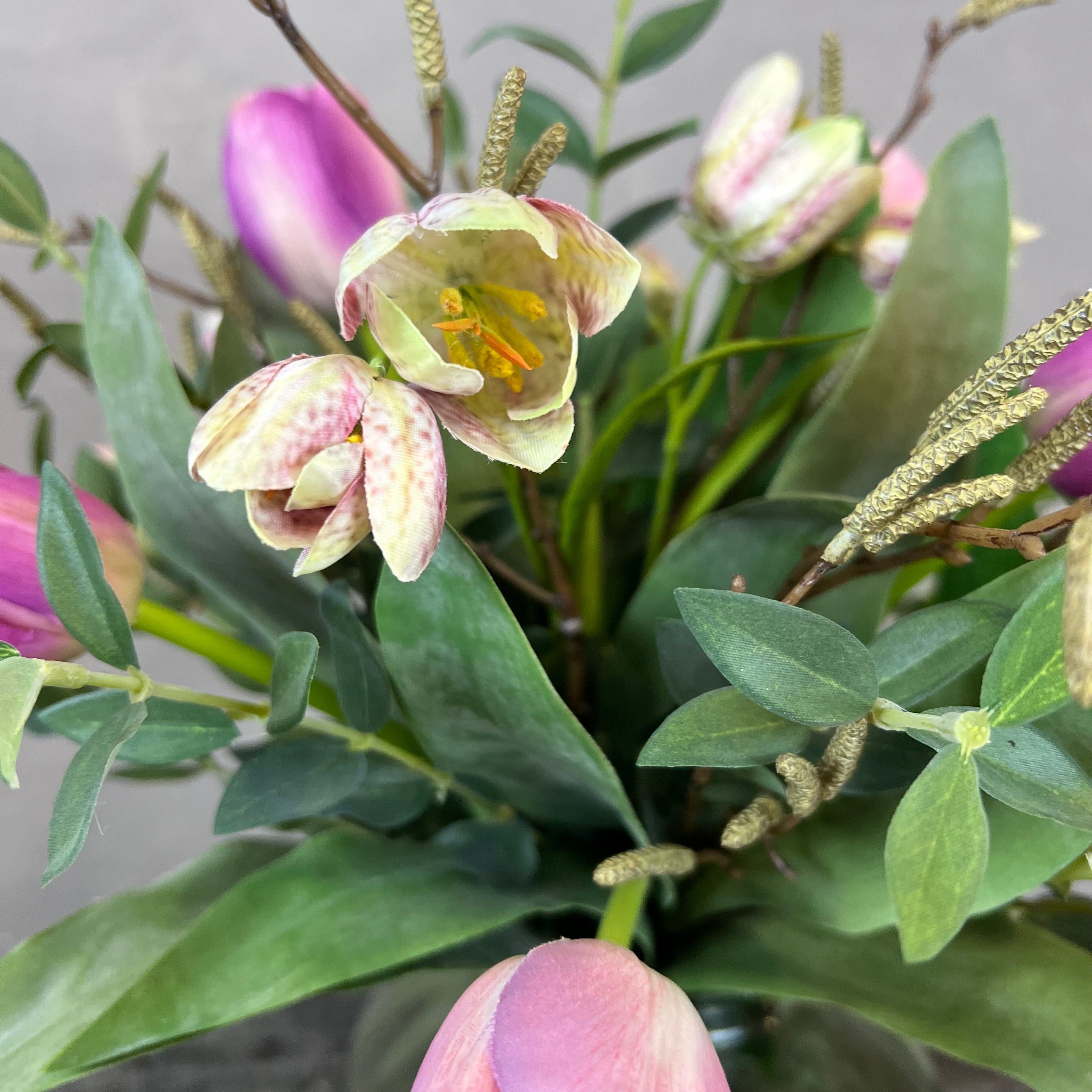 Tulipan & Fritillaria Mix