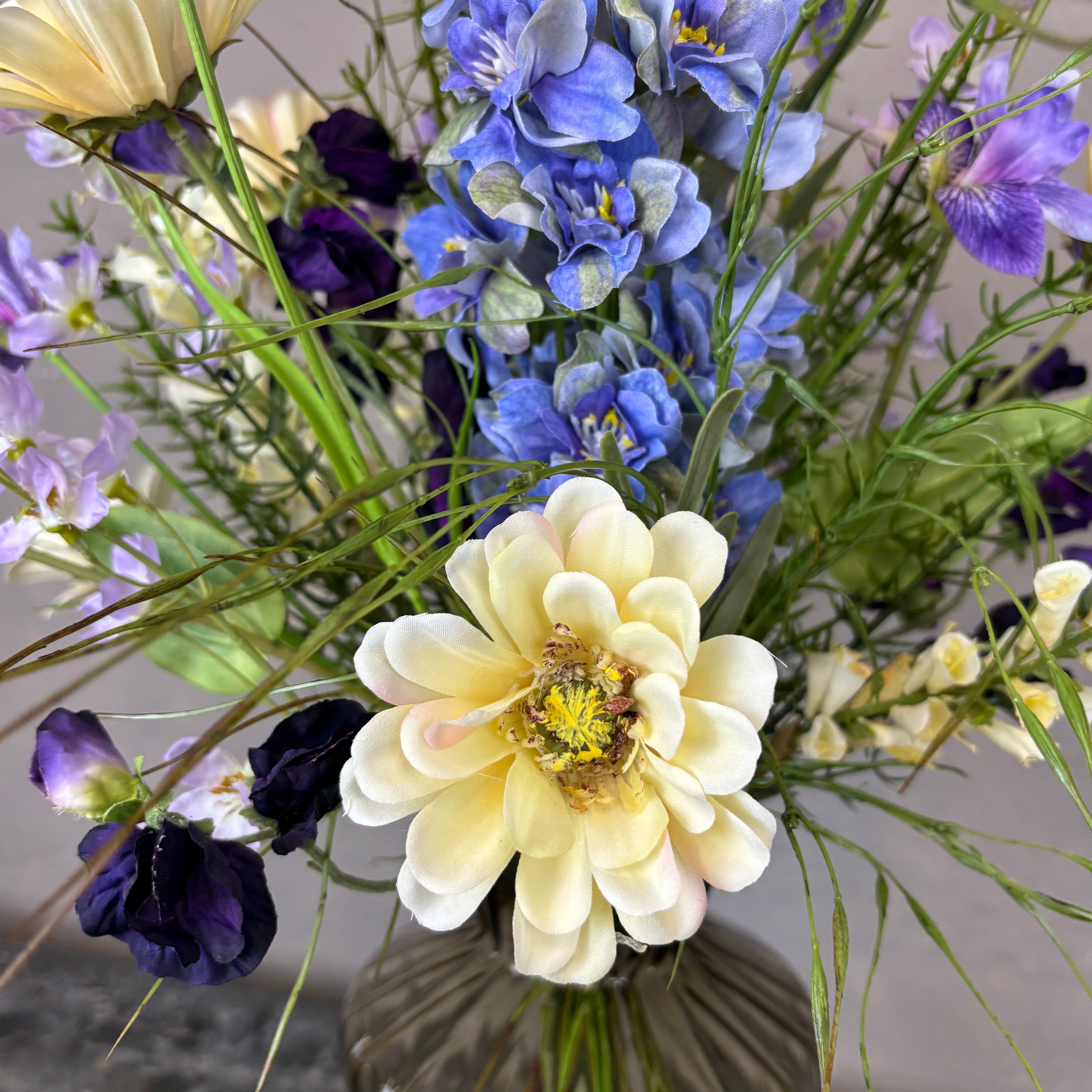 Vild Zinnia
