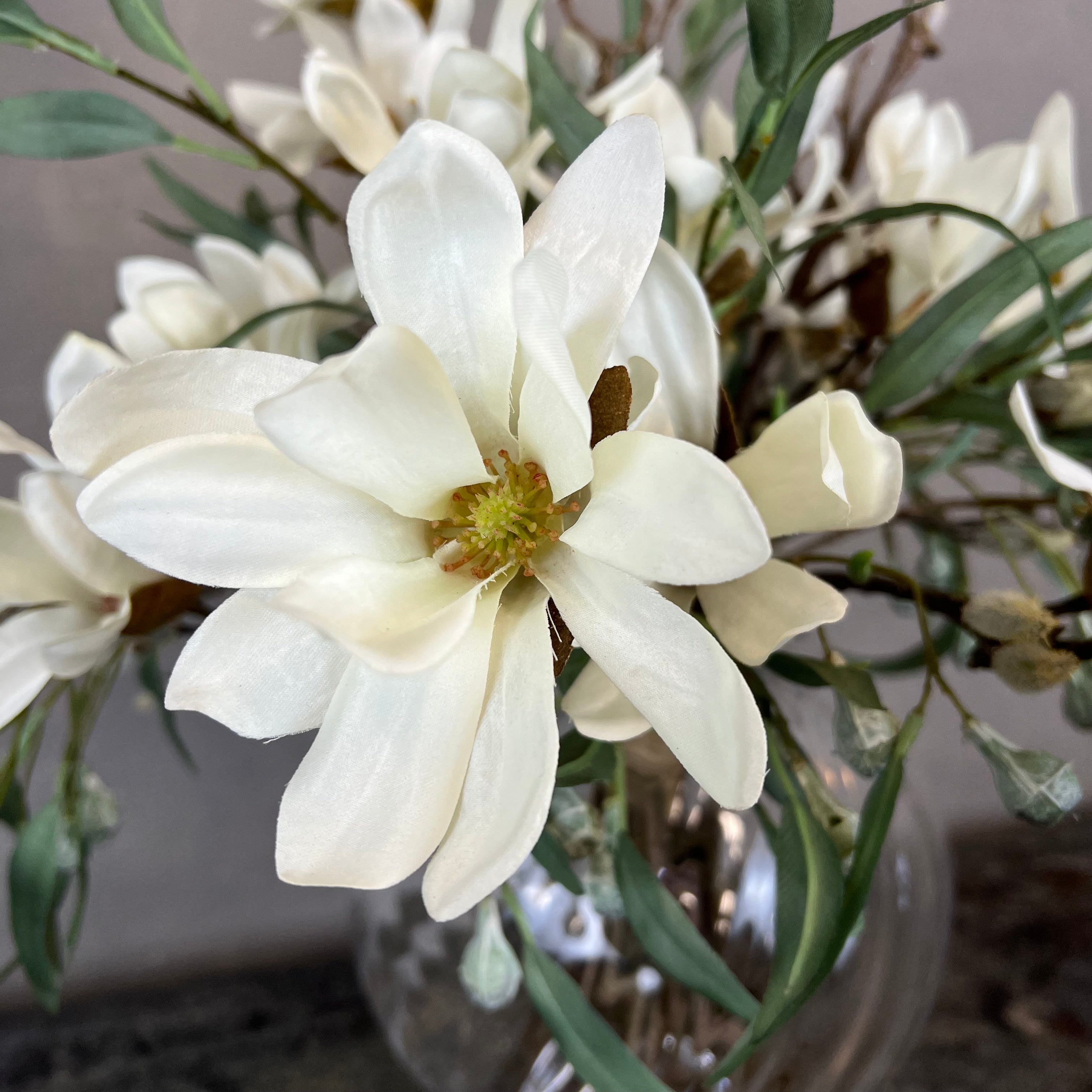 Vandfald af Magnolia