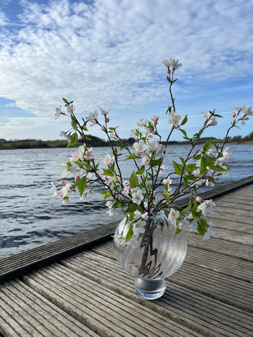 Forår i Flor - Rosa