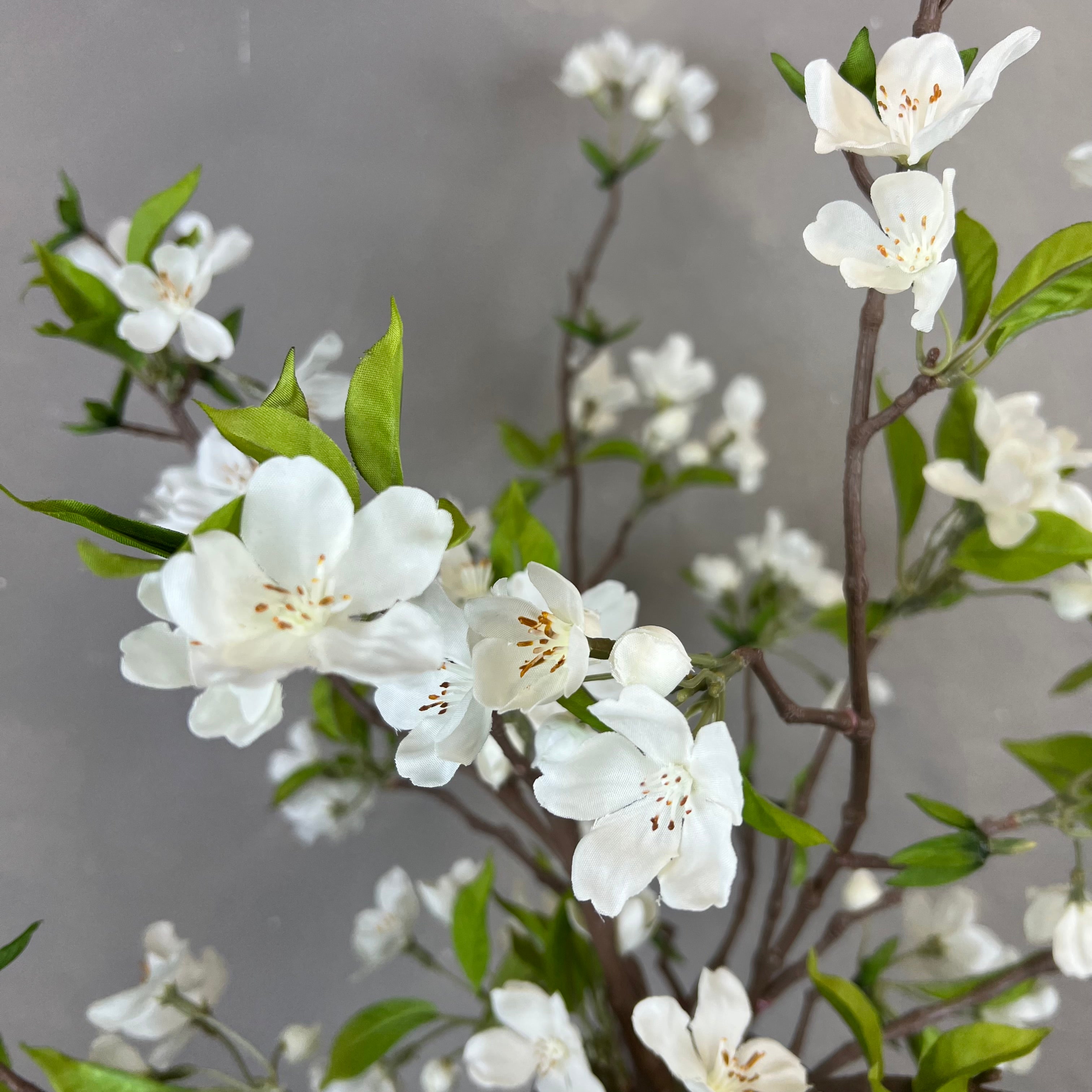 Forår i Flor - Hvid
