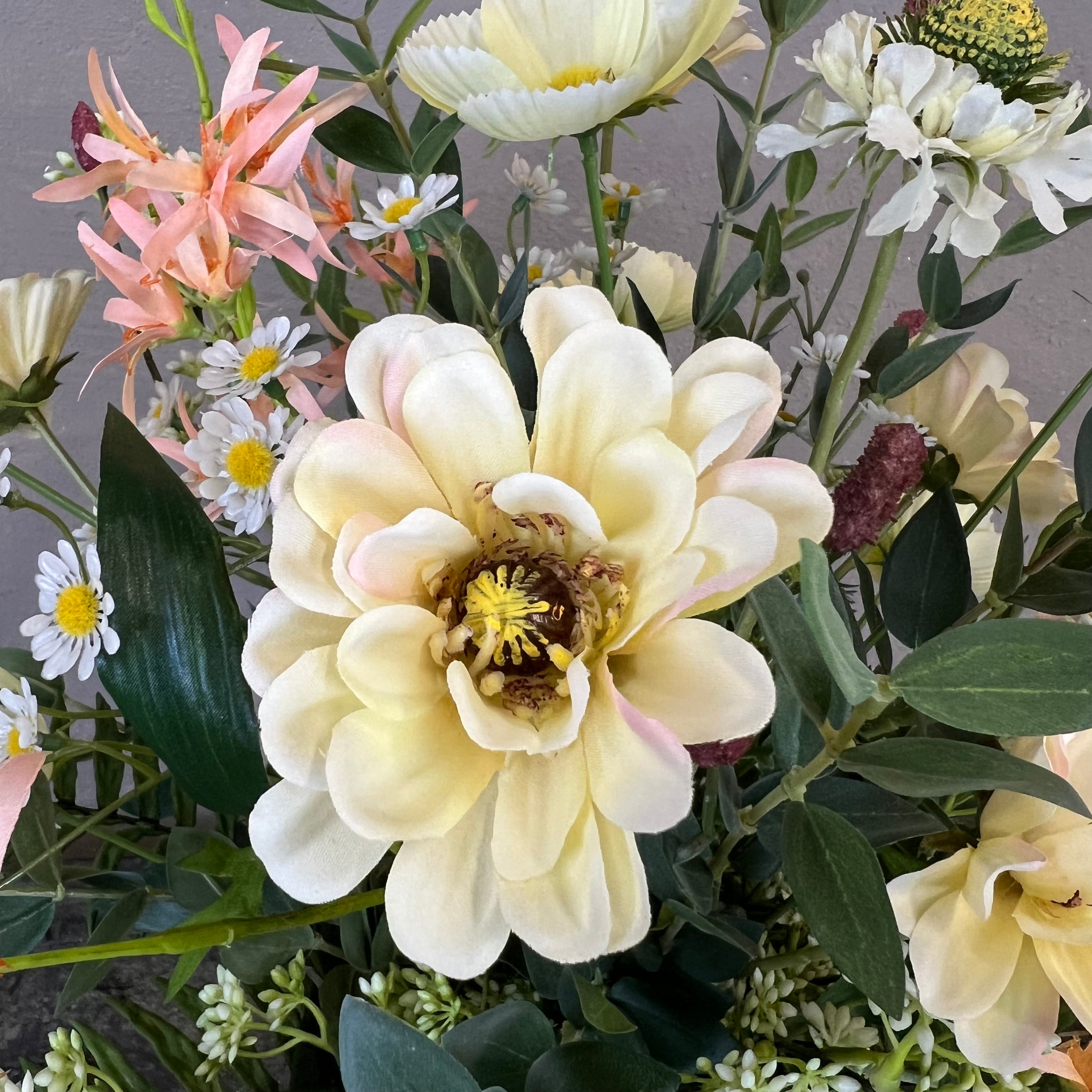 Sommer Zinnia