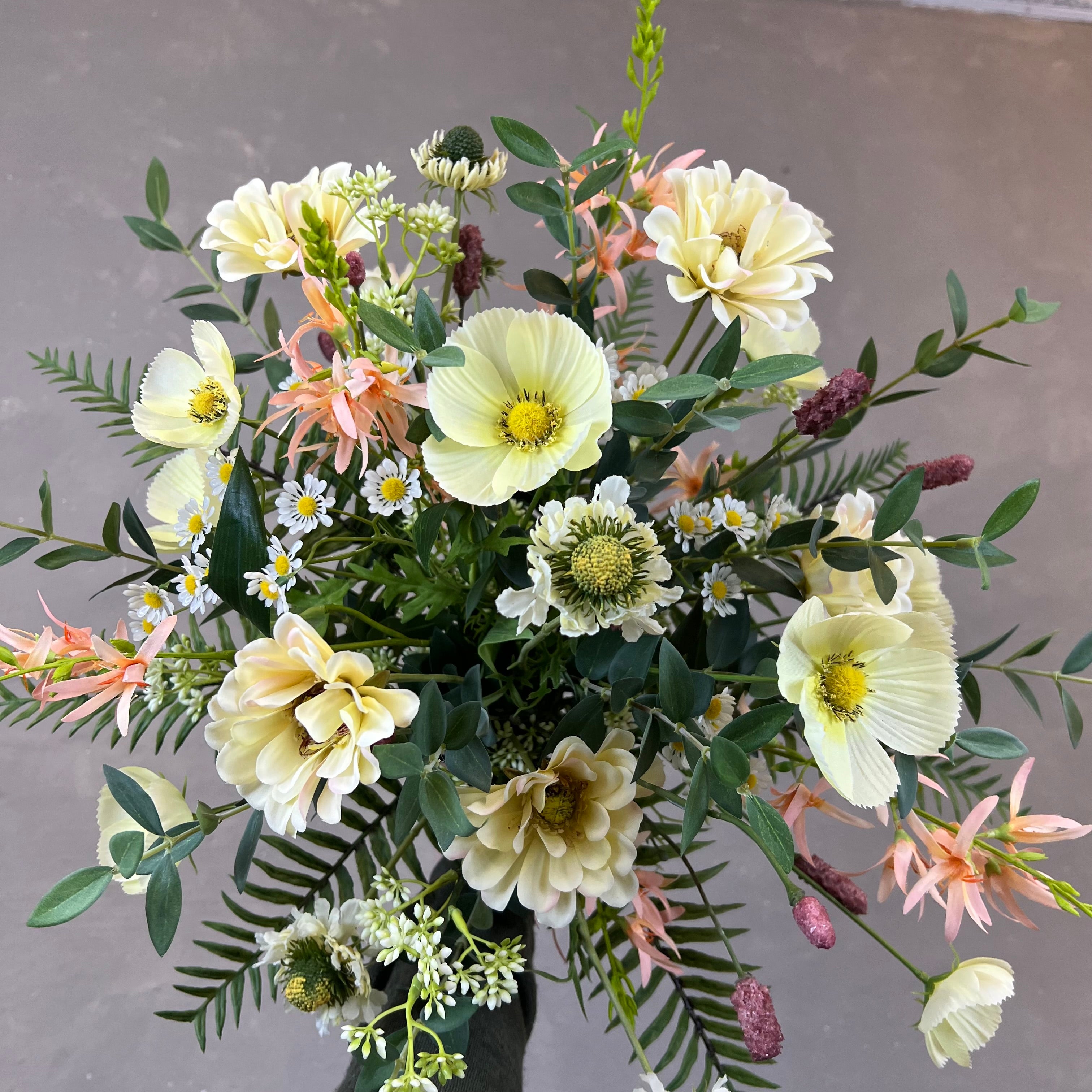Sommer Zinnia