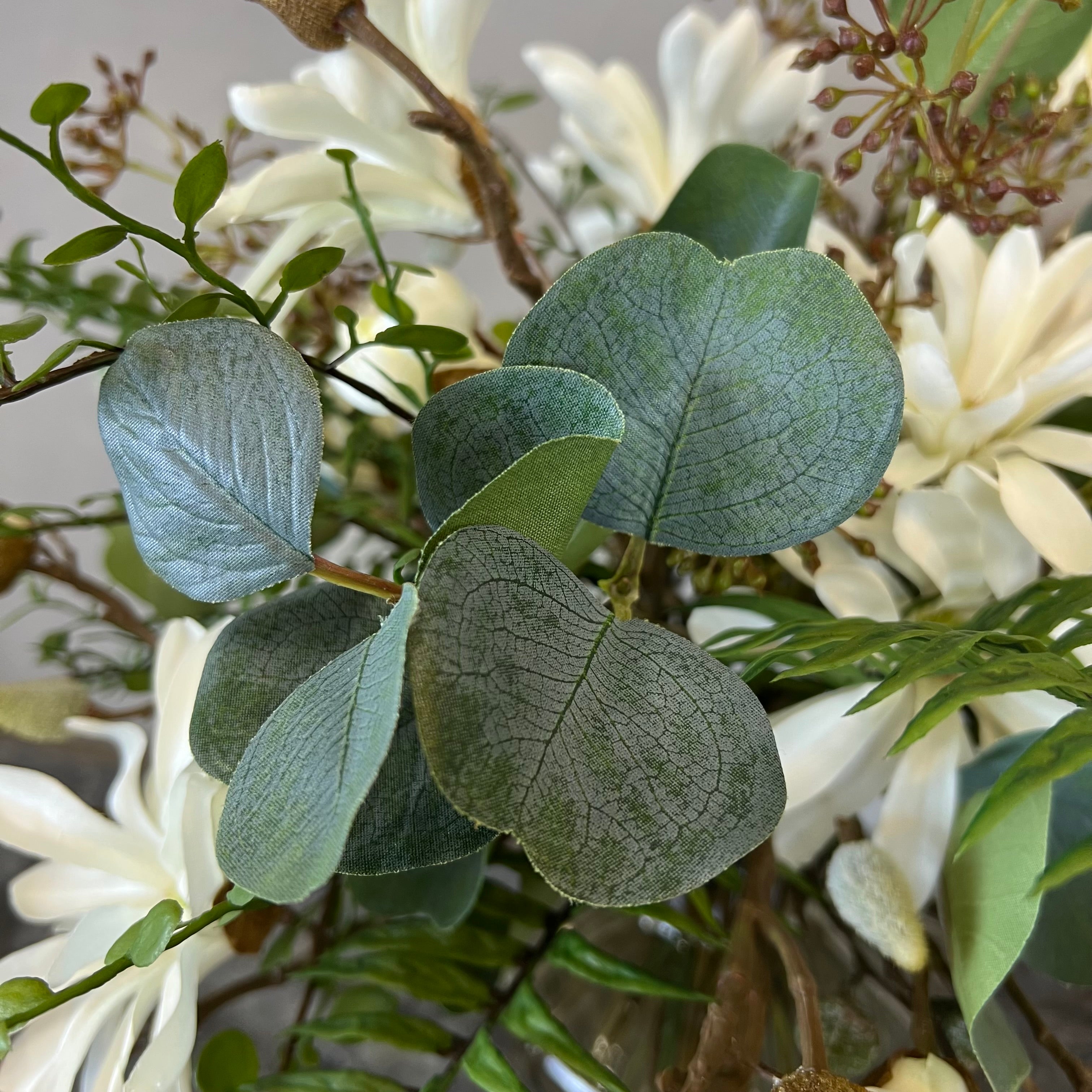 Vidunderlige Magnolia