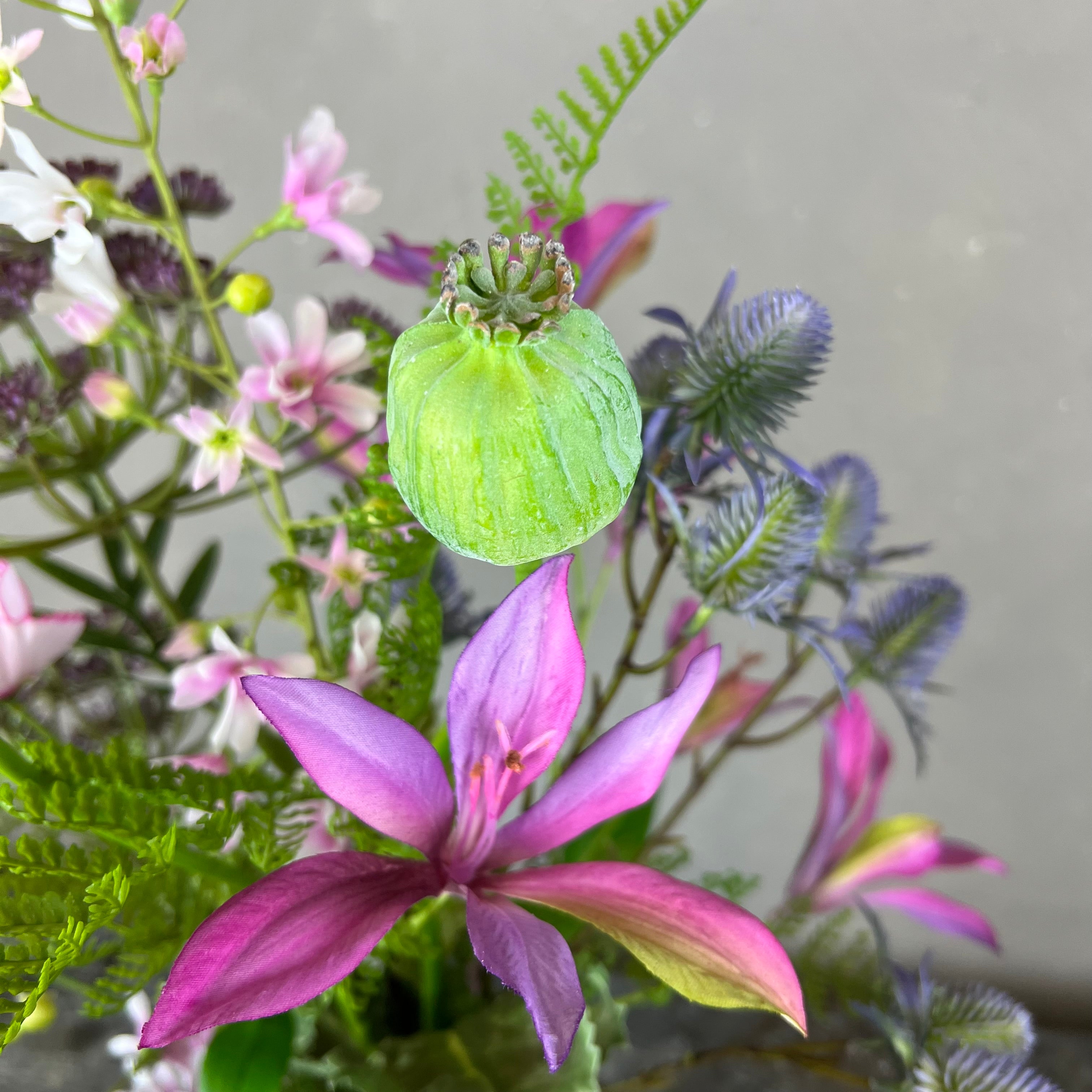 Summer Bloom No. 1