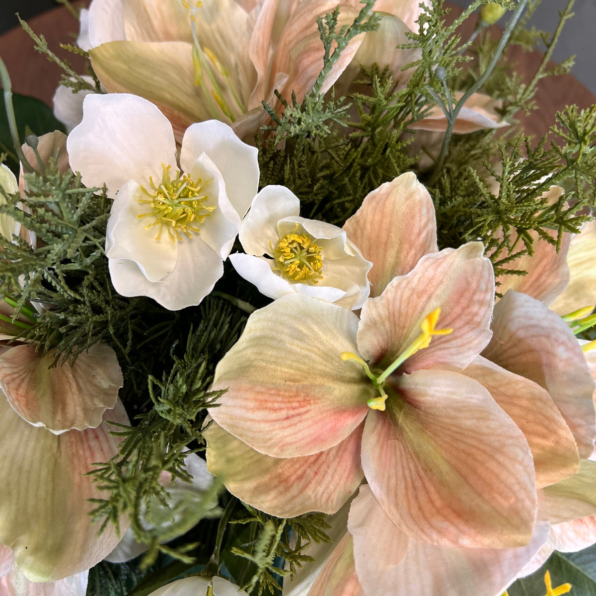 Naturlige Amaryllis