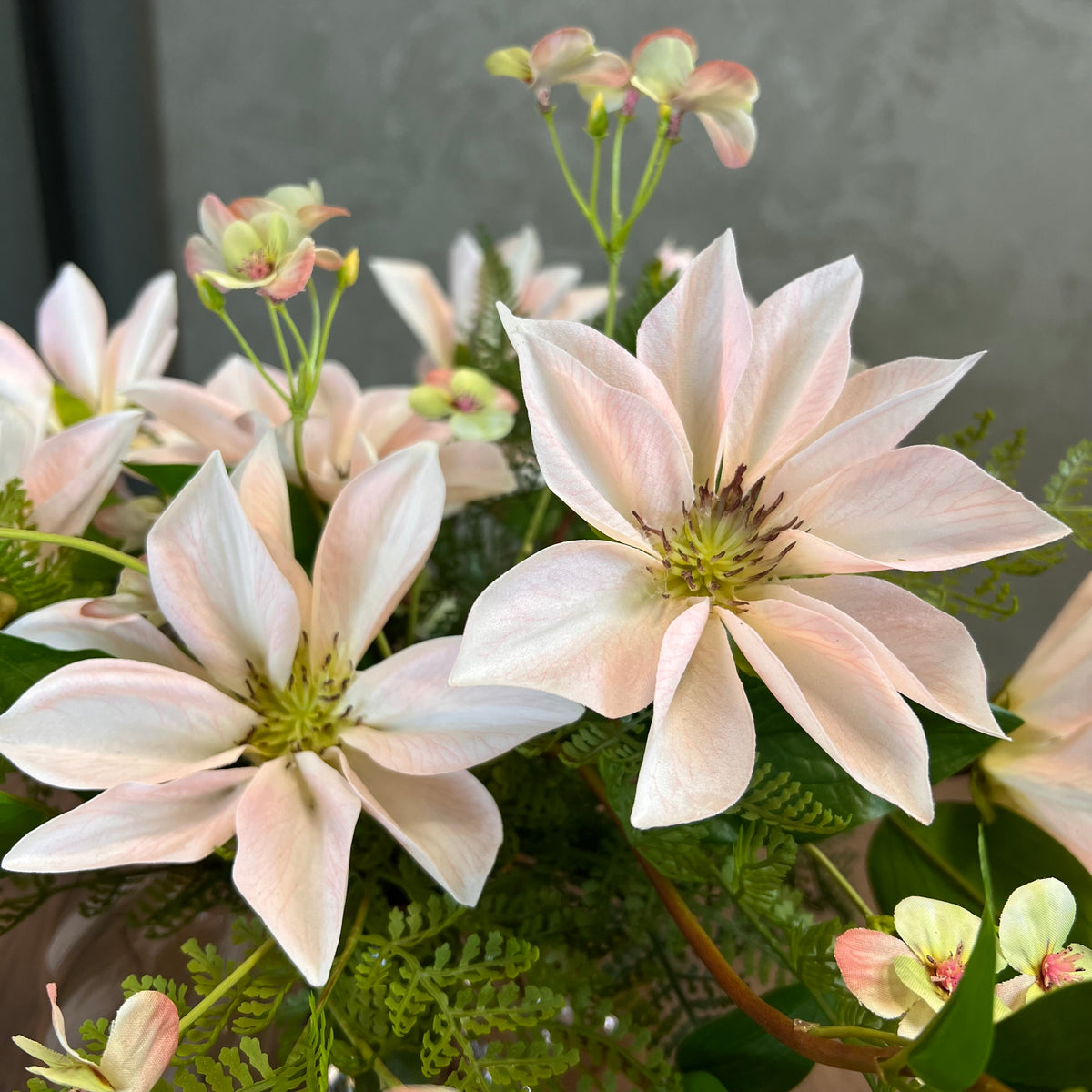 Clematis & Grønt