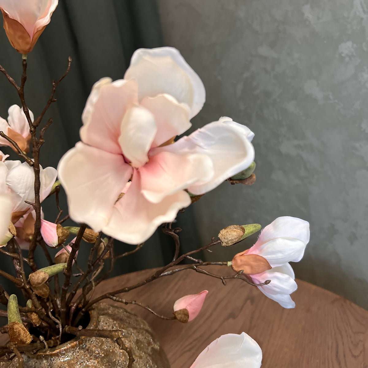 Nøgne Magnolia - Sart Rosa