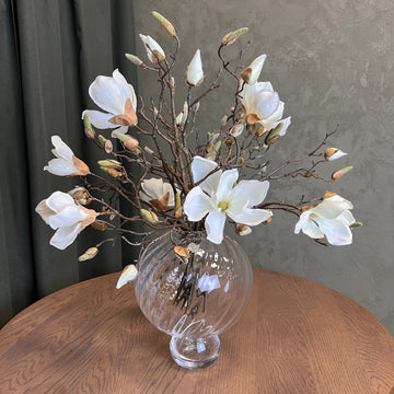 Nøgne Magnolia 2.0