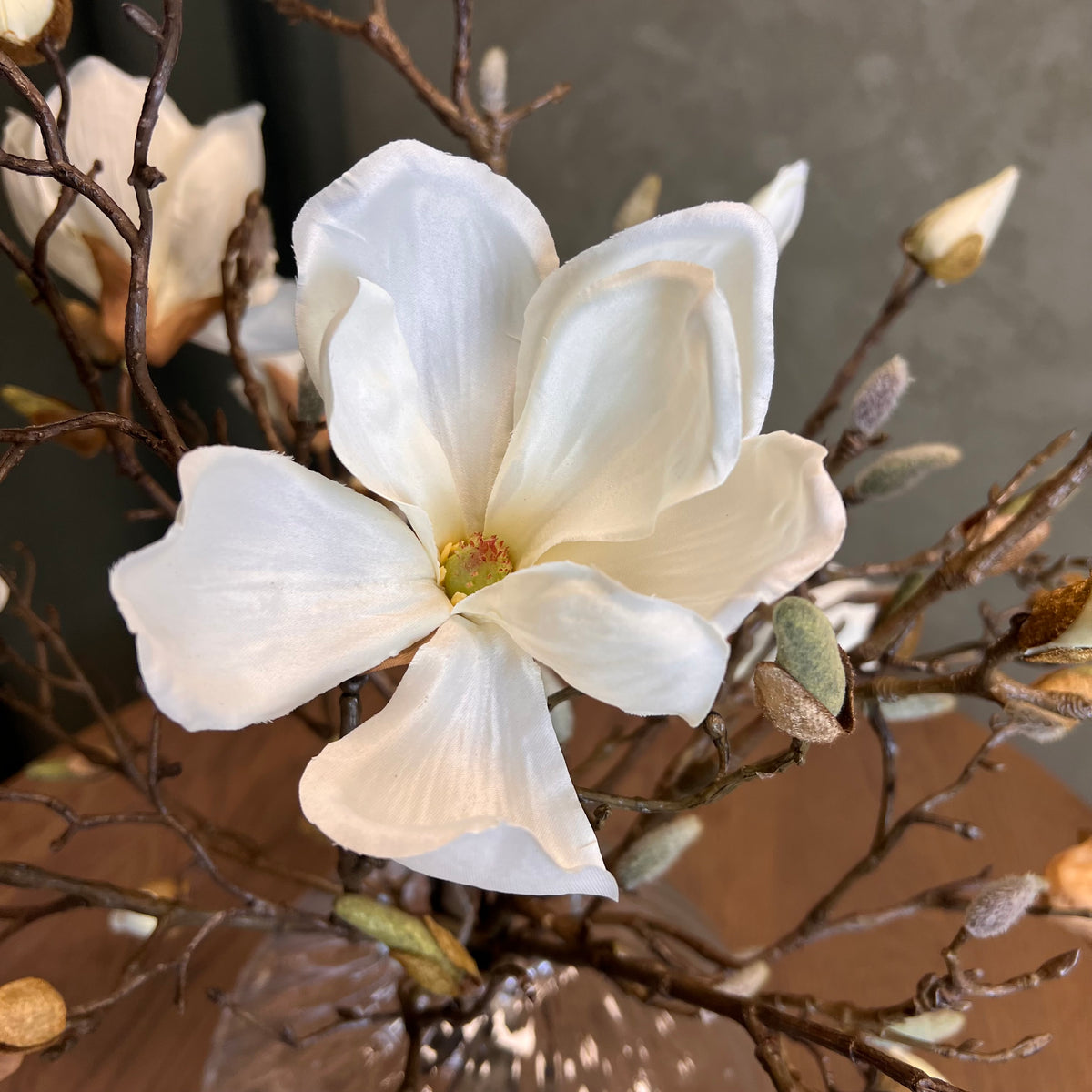 Nøgne Magnolia 2.0