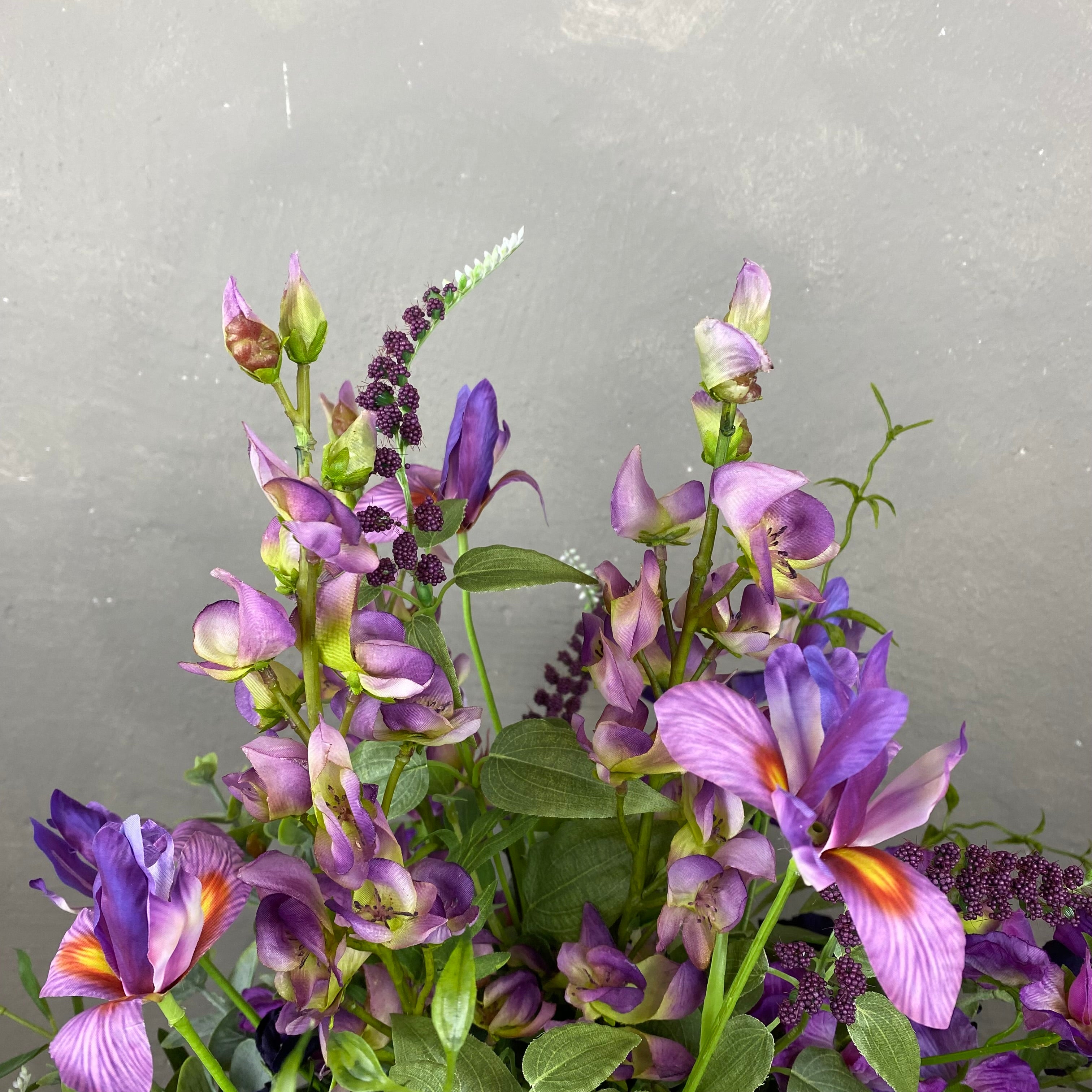 Pure Purple