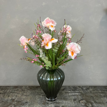 Lyserøde Iris