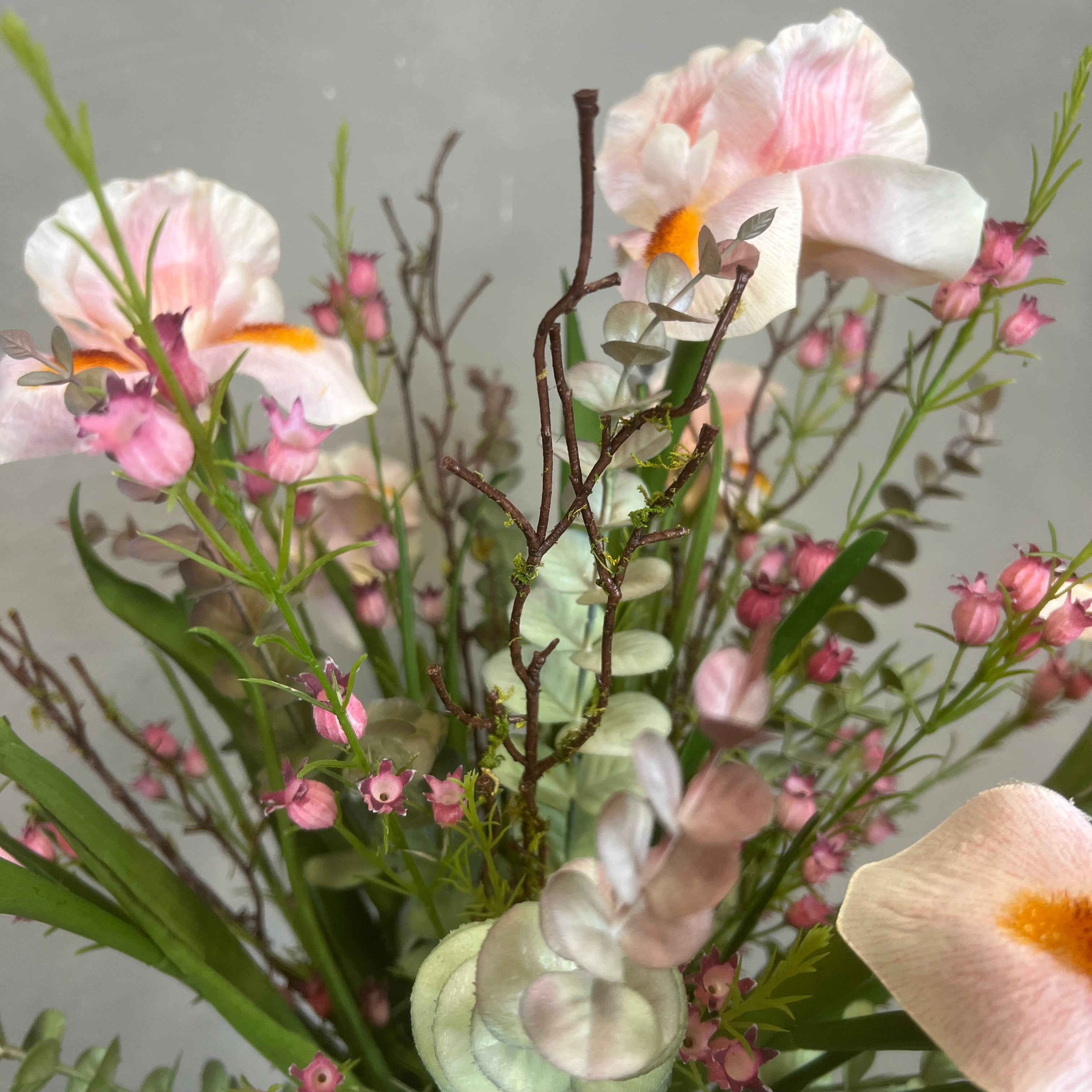 Lyserøde Iris